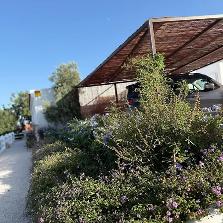 Semesterbostad House *